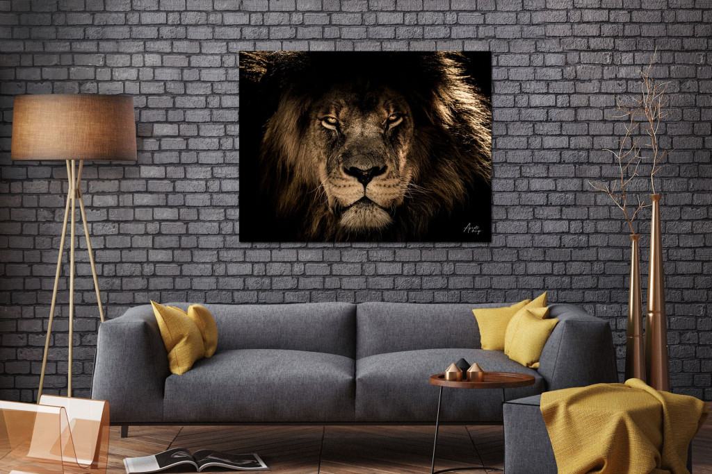 apertodesign_A_african-lion_01.jpg