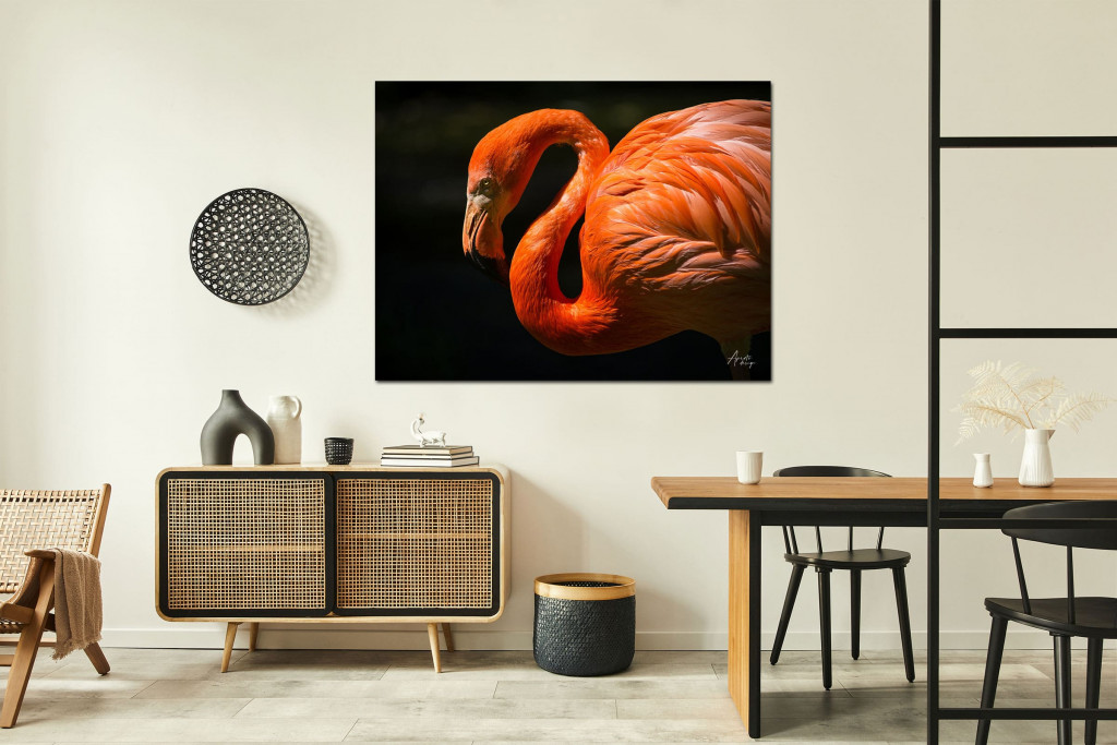 Flamingo-Pretty-in-Black-Aperto-Design-B.jpg