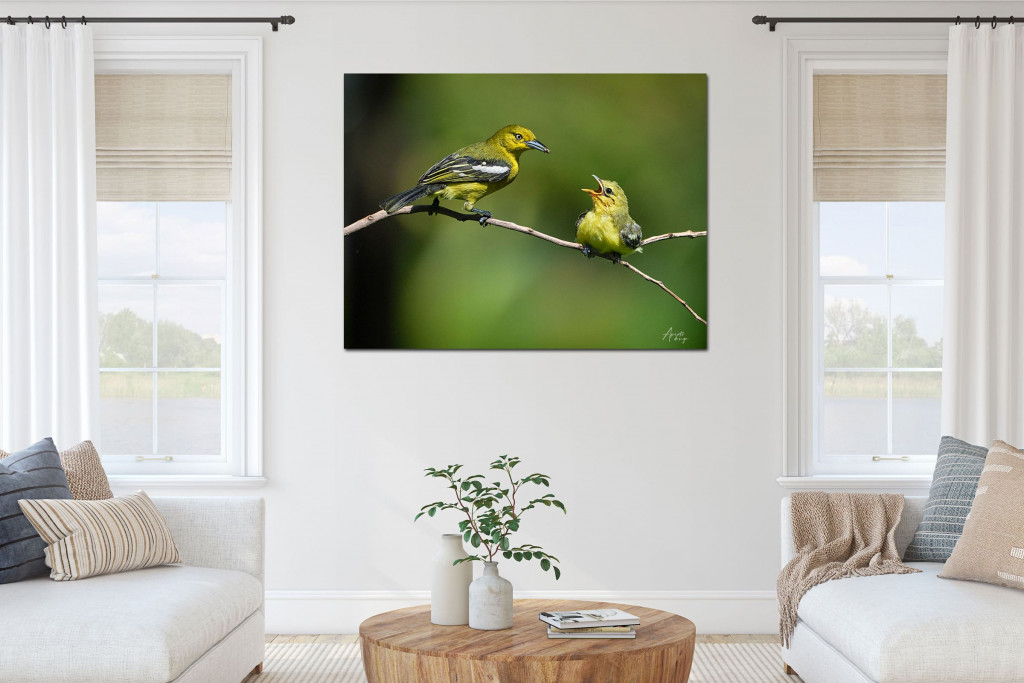 Green-Love-Birds-Aperto-Design-A.jpg