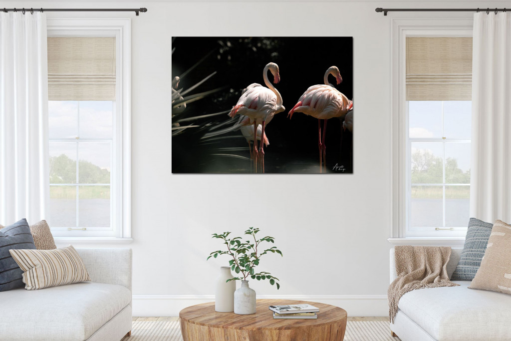 -Pink-As-In-Flamingo-Aperto-Design-A.jpg
